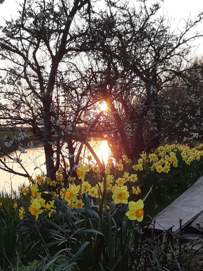 Iris'T; Dijkhuisje In De Polders Van Groede. Vila Exterior foto